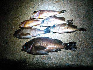 雨ばっかりやん